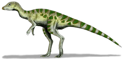 Leaellynasaura