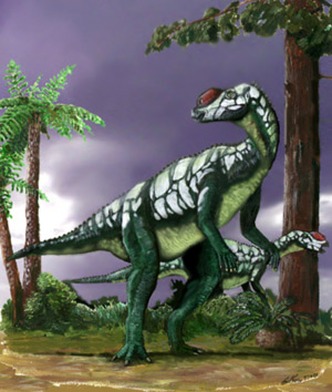Mutaburrasaurus