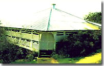 classic tin roof