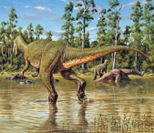 Australian Dinosaurs
