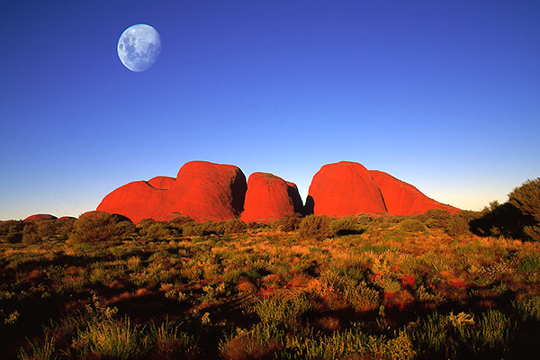 JoyZine - Big Red Tour Through Outback Australia - Chapter 6: Dr. Nigel